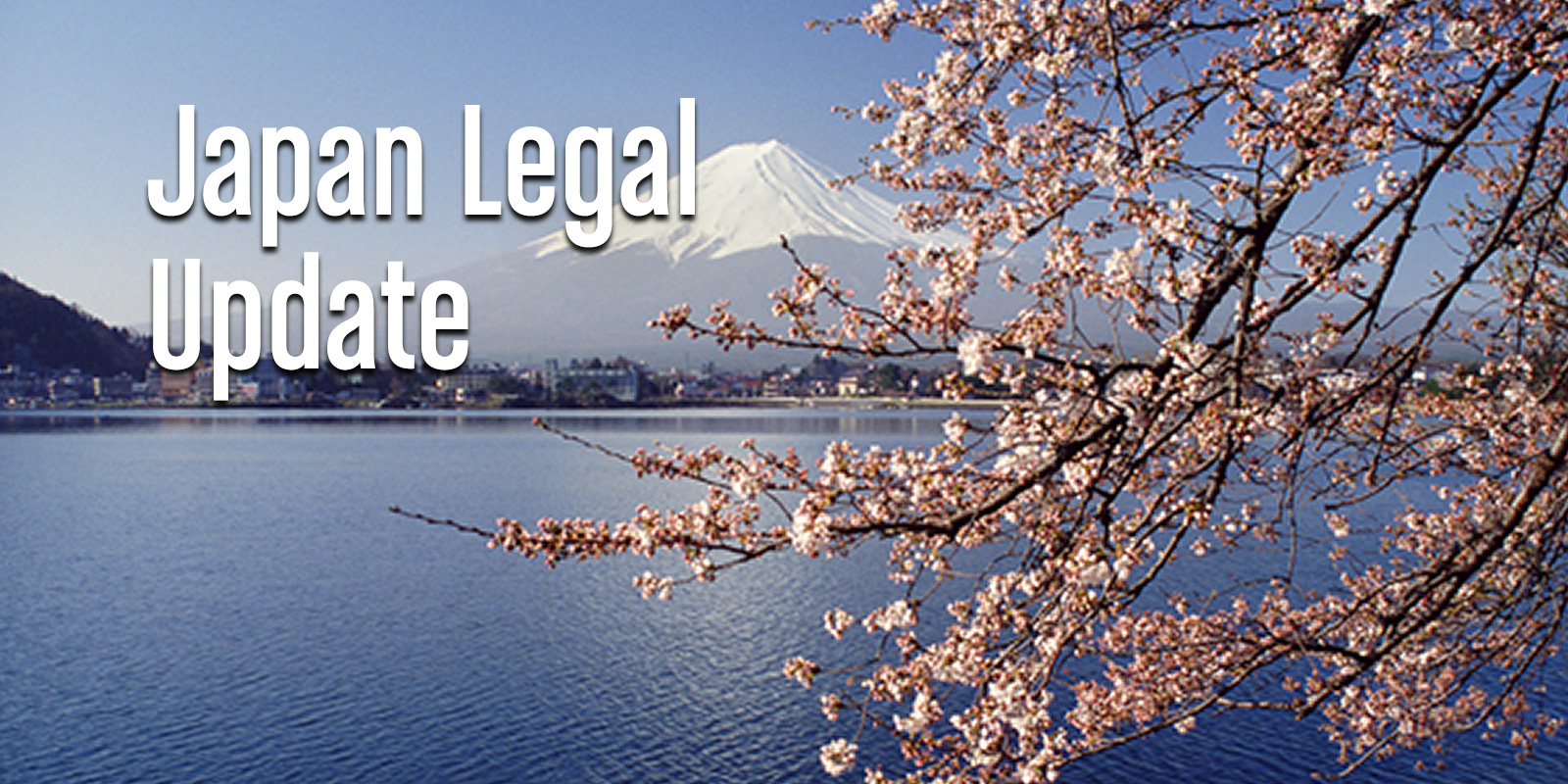 Japan Legal Update: January-February 2020 | Jones Day